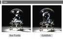 3D Crystal Ball - Various Models 