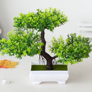 Plantas Artificiais Plásticas, Bonsai Pequena, Árvore em Vaso – Decoração de Mesa para Casa, Arranjo de Jardim e Ornamentos